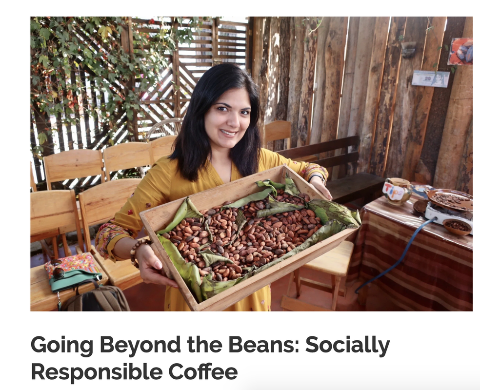 Go Beyond the Beans- GEG Blog